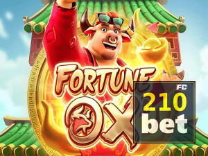 210 BET login — painel de entrada no app oficial